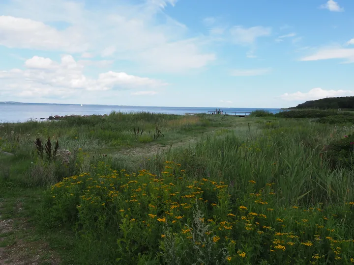 Trelde Næs (Fredericia) (Denemarken) 